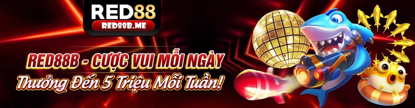 Khám phá tin tức và hướng dẫn chơi game B29 mới nhất